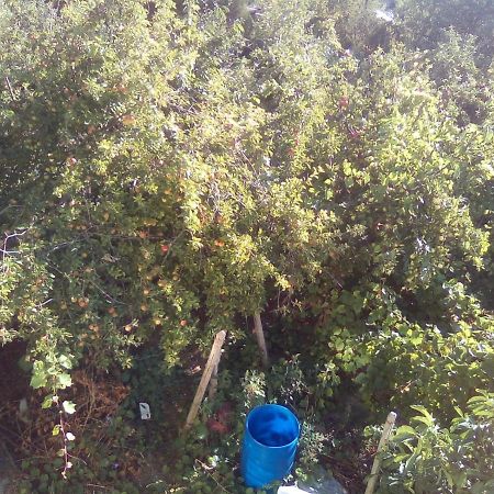Вилна Зона Златни Пясъци, Спирка Ален Мак Varna Ngoại thất bức ảnh