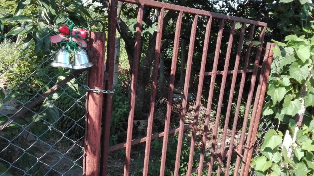 Вилна Зона Златни Пясъци, Спирка Ален Мак Varna Ngoại thất bức ảnh